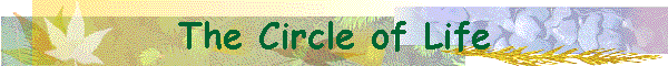 The Circle of Life