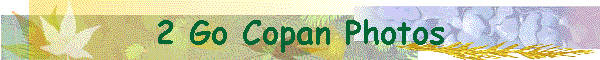 2 Go Copan Photos
