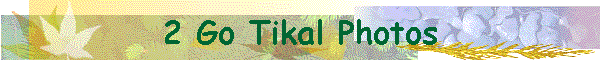 2 Go Tikal Photos