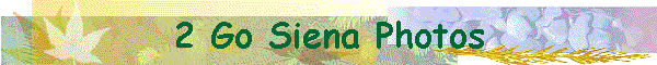2 Go Siena Photos
