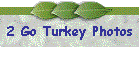 2 Go Turkey Photos