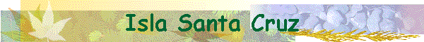 Isla Santa Cruz