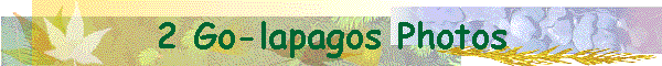 2 Go-lapagos Photos