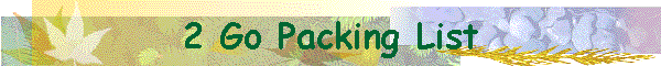 2 Go Packing List